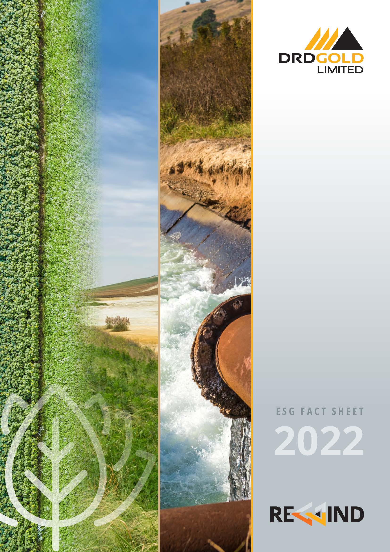 ESG 2021 fact sheet [cover]